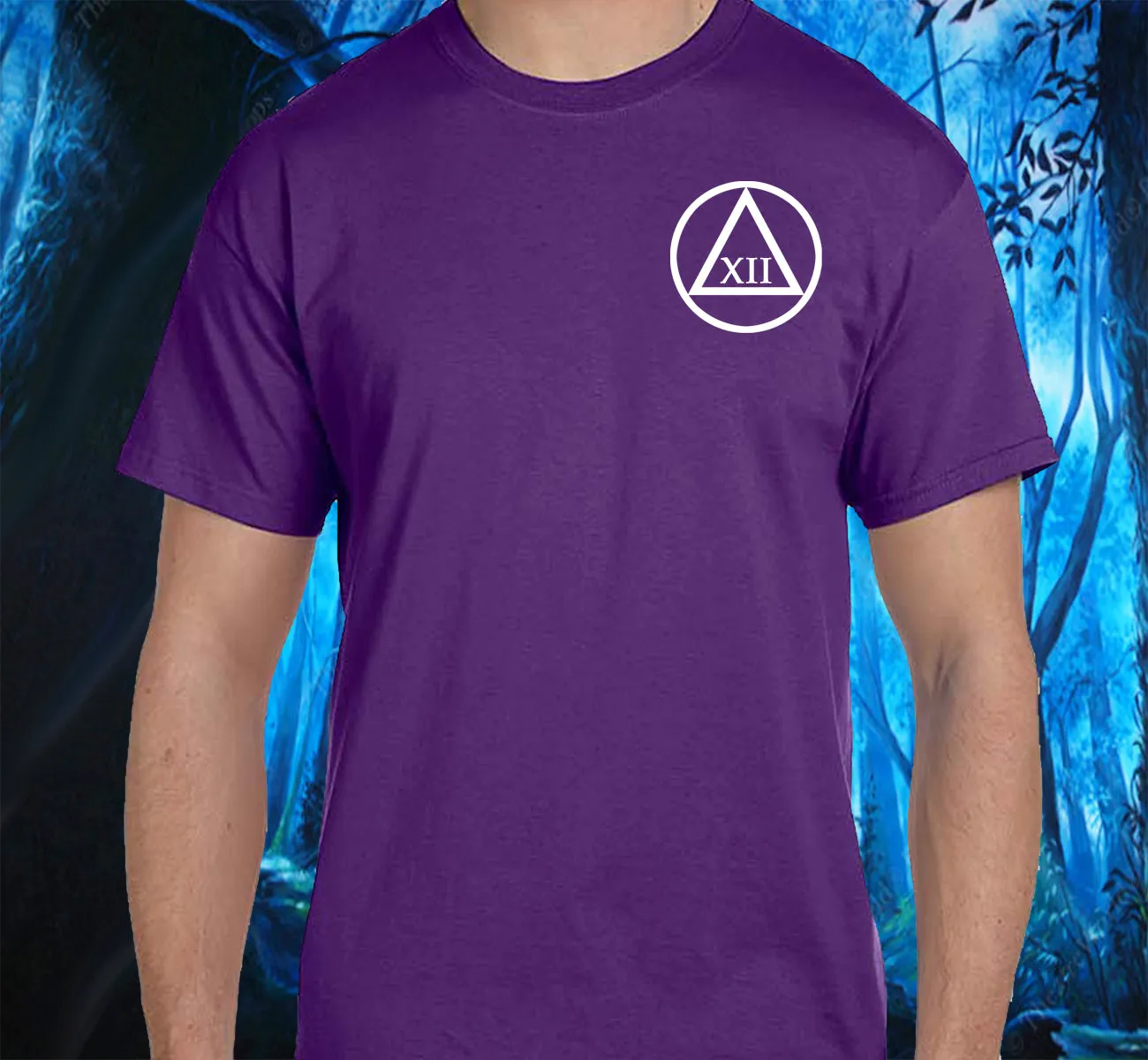 AA - 3.5" Symbol With Years Sober SS Tee