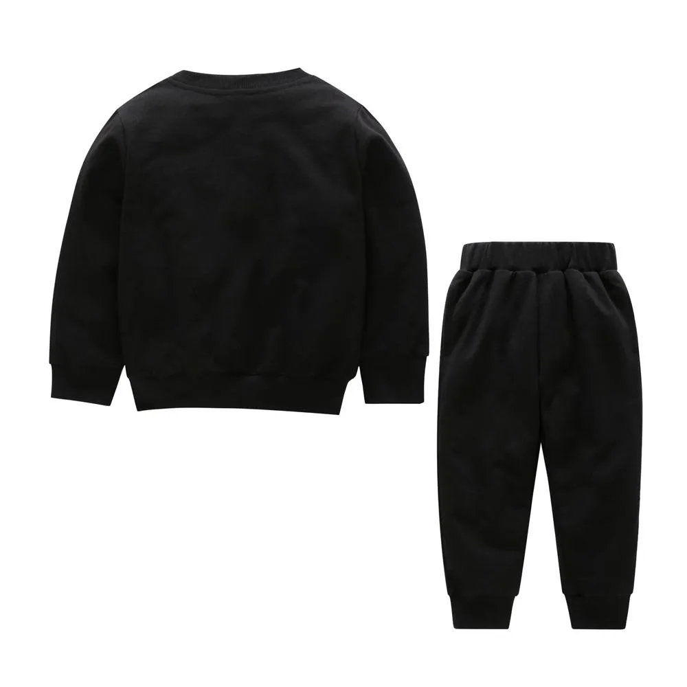 Boys 3D Tiger Printed Long Sleeve Top & Pants Kid Wholesale Clothing