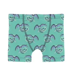 Boy's Print Bamboo Boxer Brief - Glass Phoenix