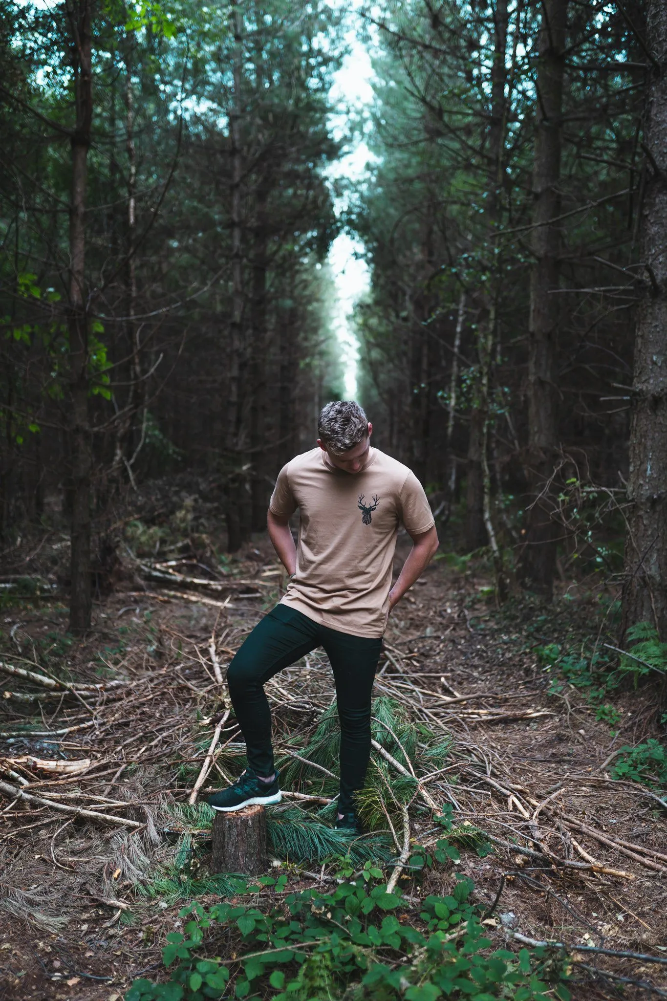 Men's T-shirt | Night Stag
