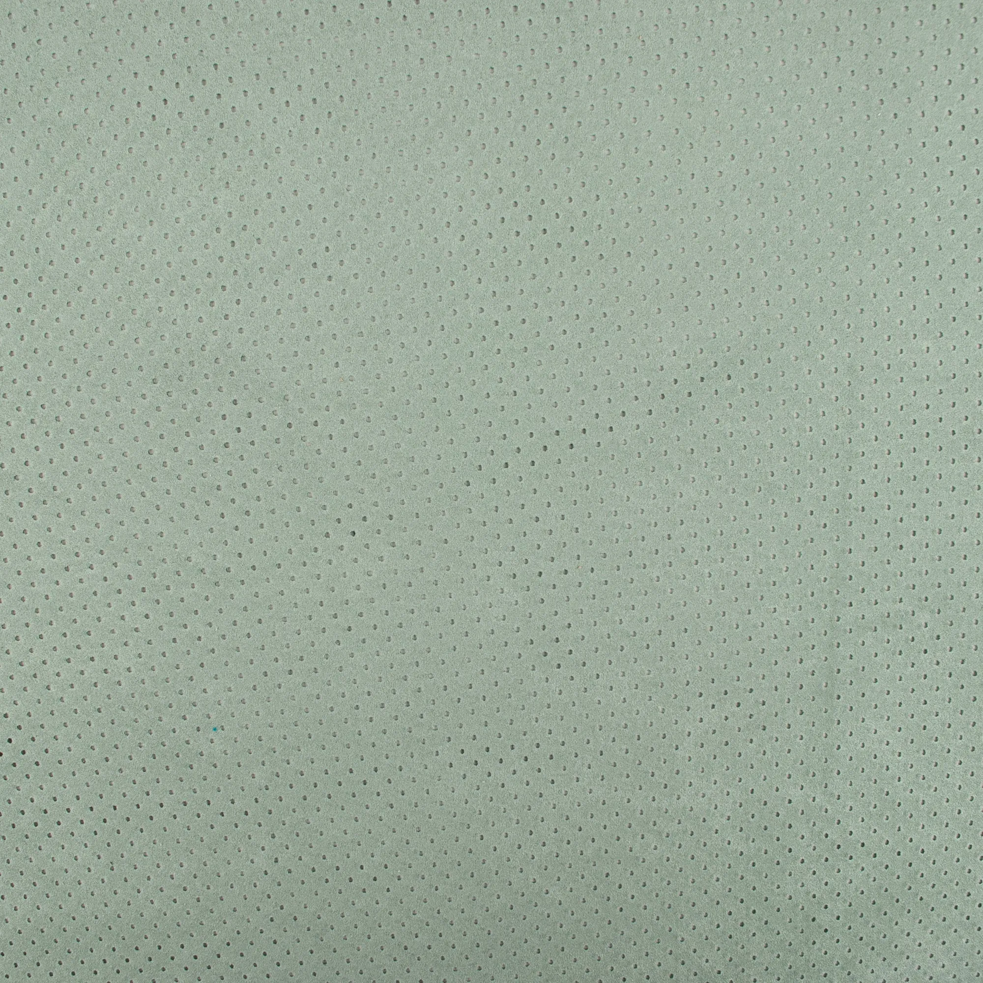 Suede - CALISTA - Perfored - Green
