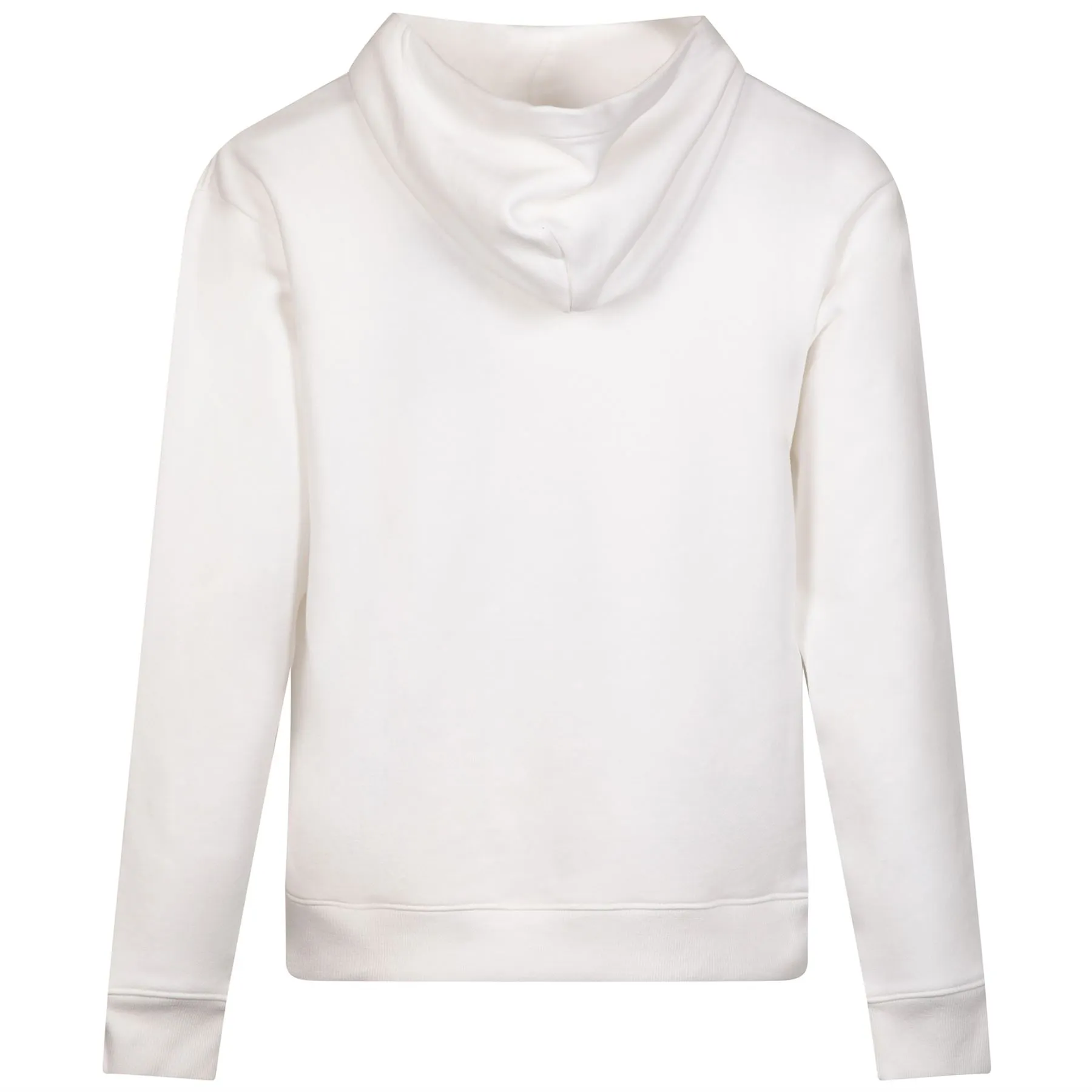 Womens Hudson Hoodie Arctic - AW24